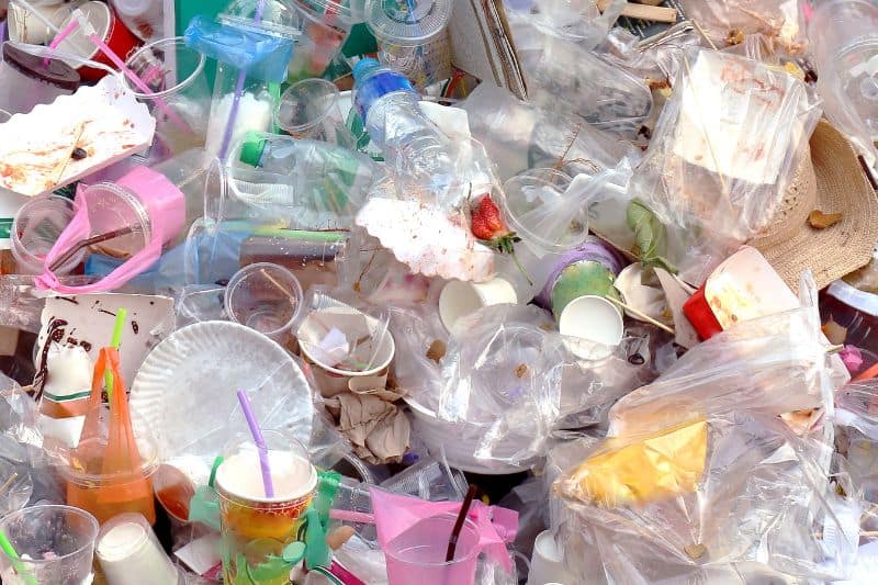 Plastic Disaster: How Your Bags, Bottles, and Body Wash Pollute