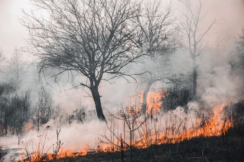 Chaparral wildfires