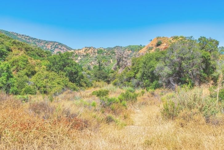 chaparral-biome