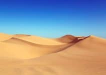 Desert Ecosystem: Biotic and Abiotic Components (And Importance of Desert Ecosystem)