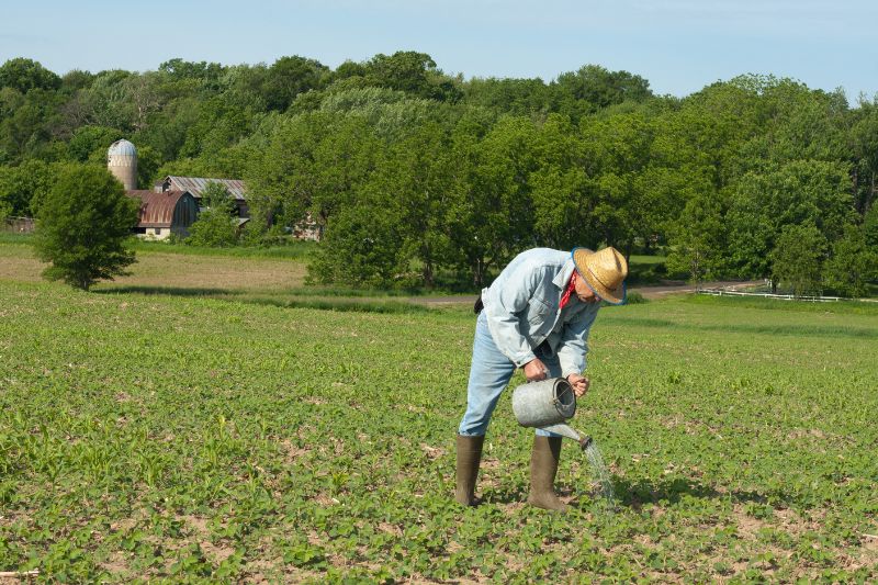 Watering of crops