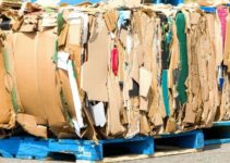 Is Cardboard Biodegradable? (And Good For the Soil?)