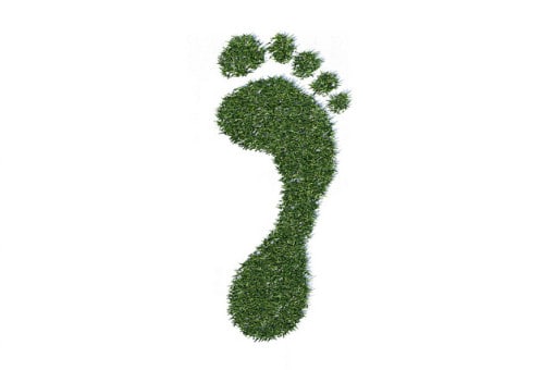 ecological-footprint