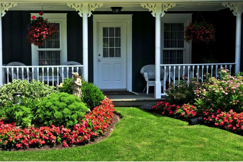 Plant flowers in the yard