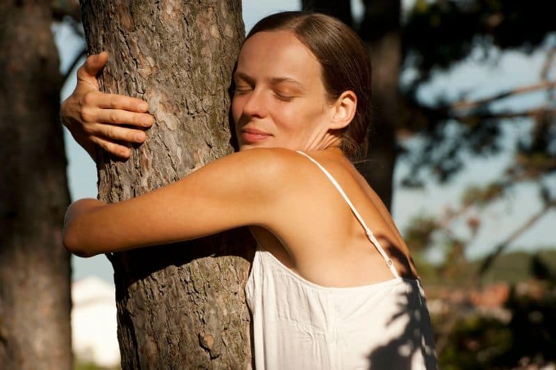 Begin By Hugging a Tree