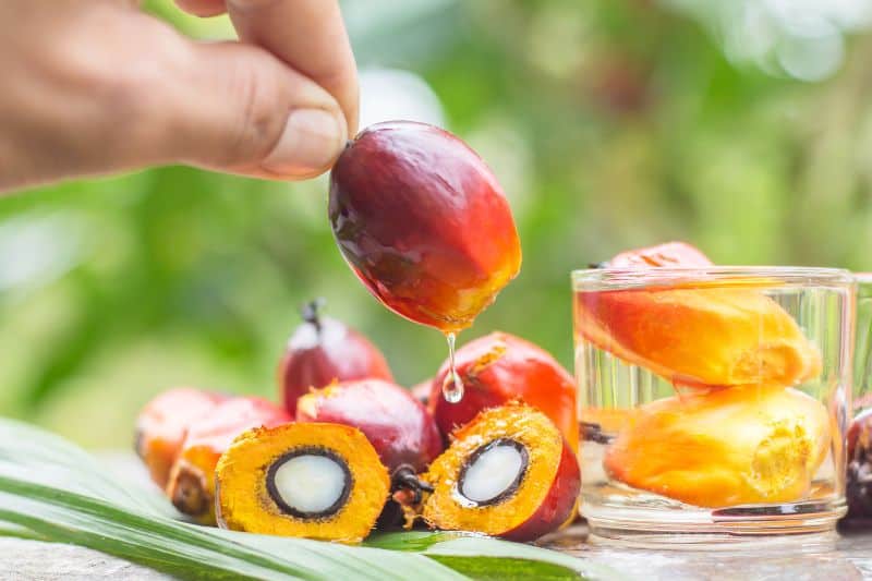 Avoid palm oil as much as possible.