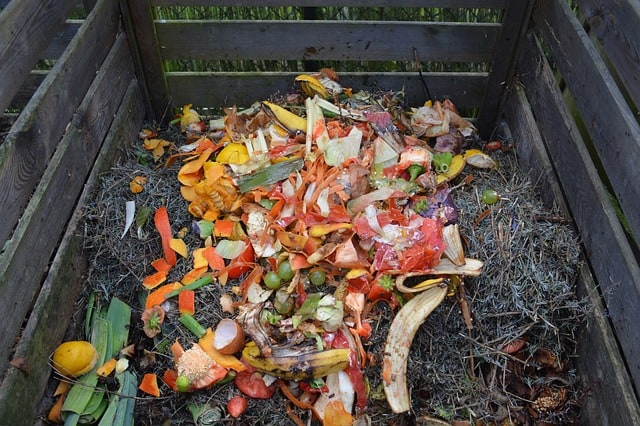 Efficient Home Debris Management for Clean Living
