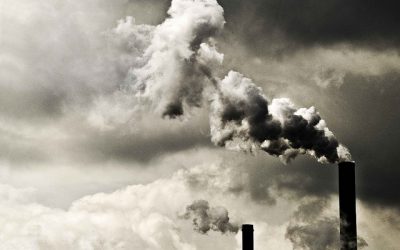 40 Surprising Facts About Global Warming You Need to Know