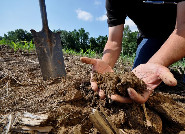 hands-with-soil-to-improve-soil-ecosystem-function