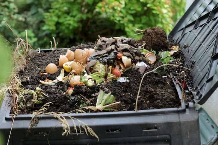 Food scraps that are expected to be used as compost.