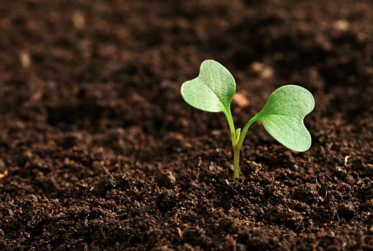 25+ Remarkable Ways to Conserve and Protect Soil Fertility - Conserve  Energy Future