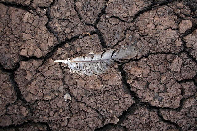 Causes, Effects, and Impressive Solutions to Soil Erosion - Conserve Energy Future