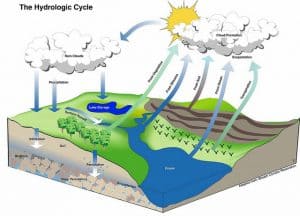 hydrologic-cycle