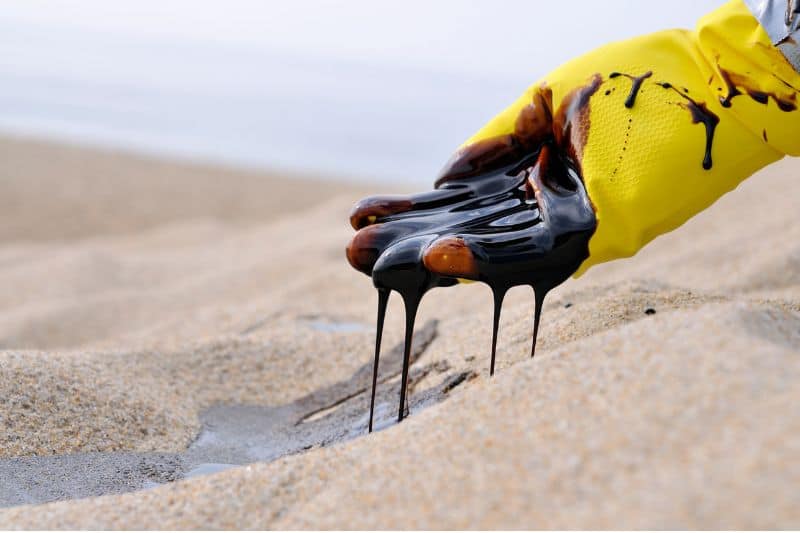 Oil spill Pollution