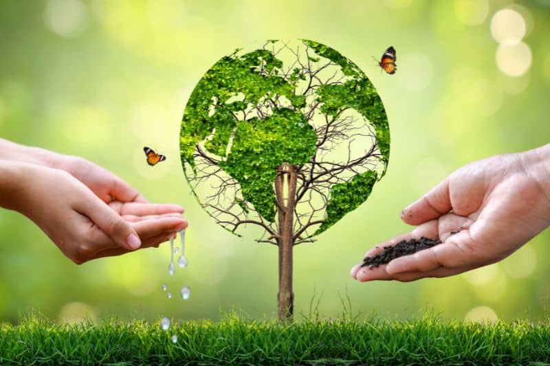 51+ Surprising Ways Your Family Can Save Planet and Protect Mother Earth