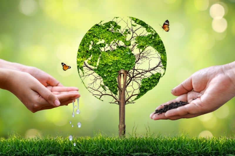 51+ Surprising Ways Your Family Can Save Planet and Protect Mother Earth -  Conserve Energy Future