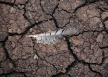 New Analysis Reveals The US Now Down To 24th Spot in The World on Environmental Performance