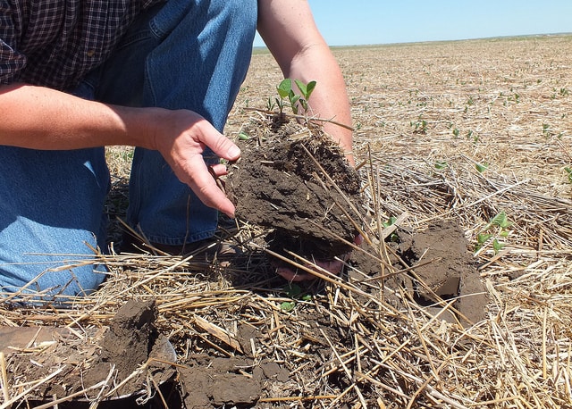 healthy-soil-conservation-improve soil quality
