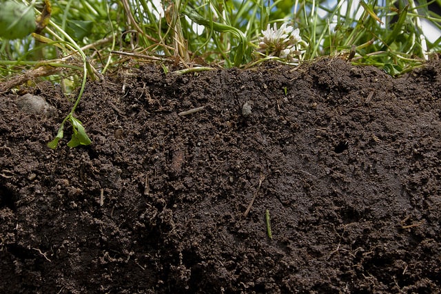 healthy soil-conservation-organic-matter-crops-residue