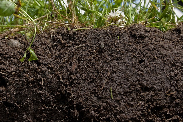 healthy soil-conservation-organic-matter-crops-residue healthy soil-conservation-organic-matter-crops-residue
