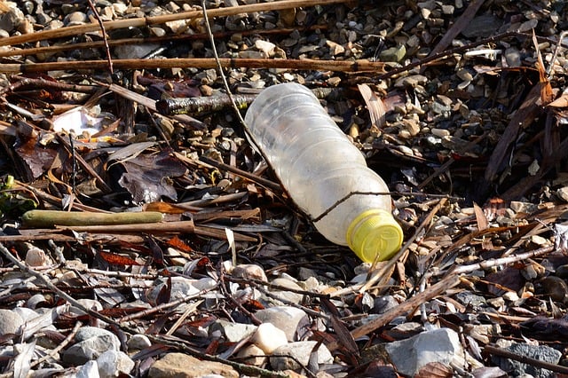 plastic-soda-bottle-plastic-recycling