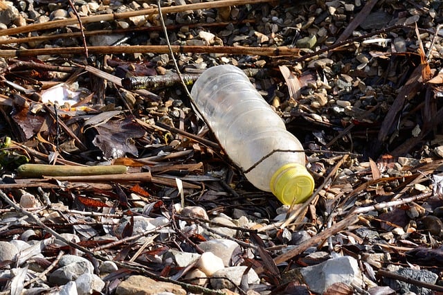 51 Unique and Innovative Ways To Reuse Your Garbage - Conserve Energy Future