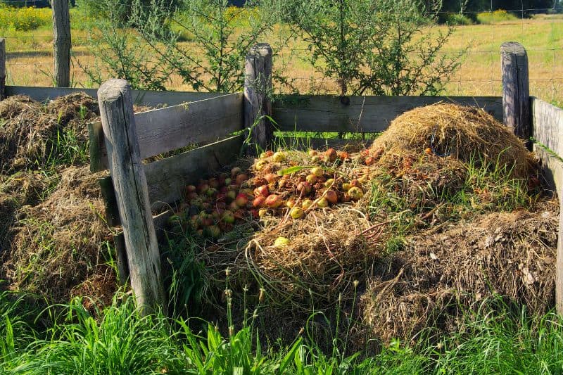 Compost Pile