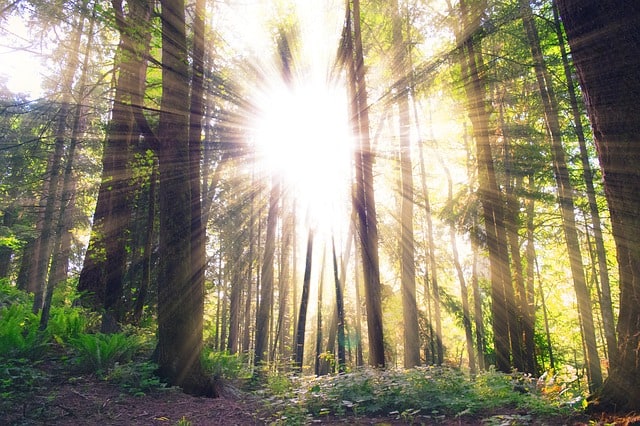 The benefits of sustainable living