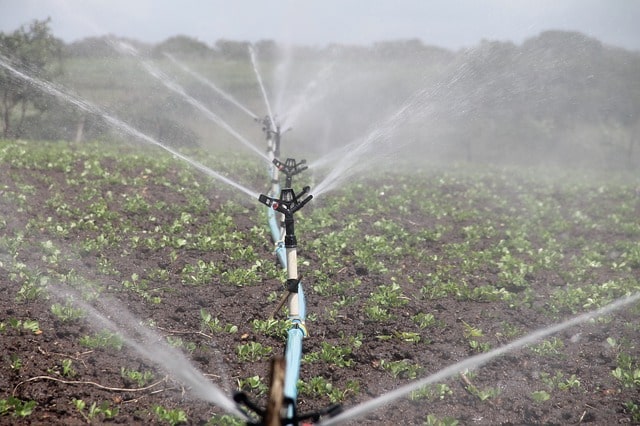 irrigation-agriculture-sprinkling