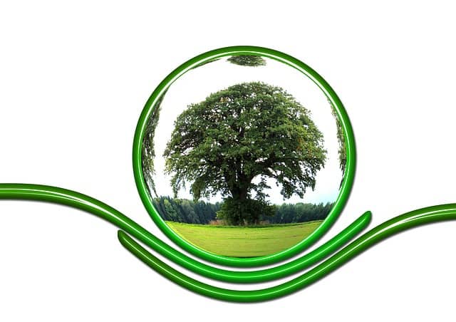 protect-ecology-protection-tree