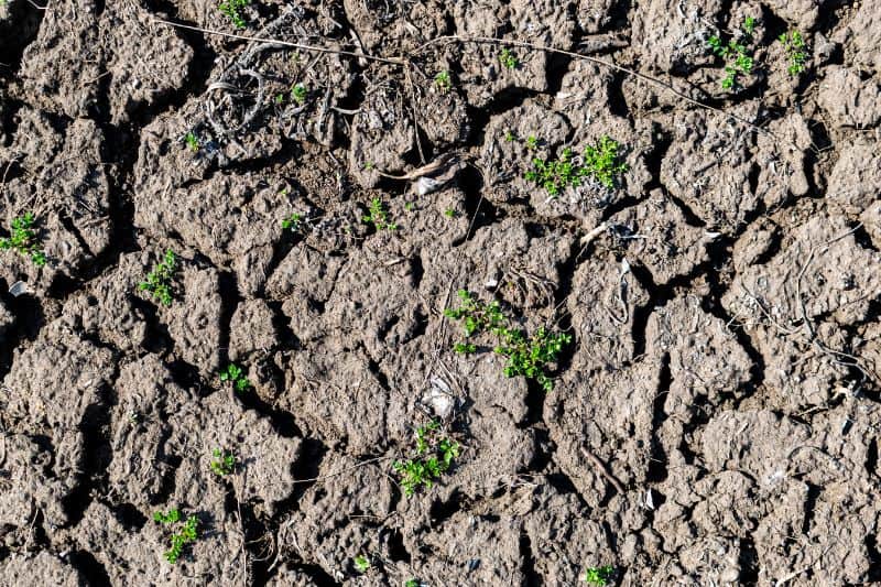 Soil erosion