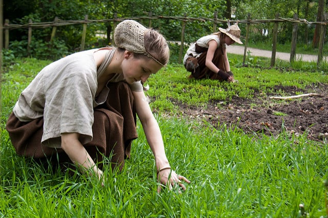 gardening