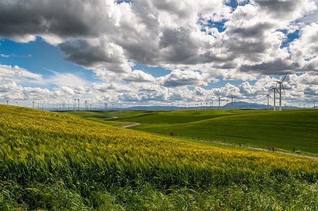 wind-farm-wind-turbine-electricity