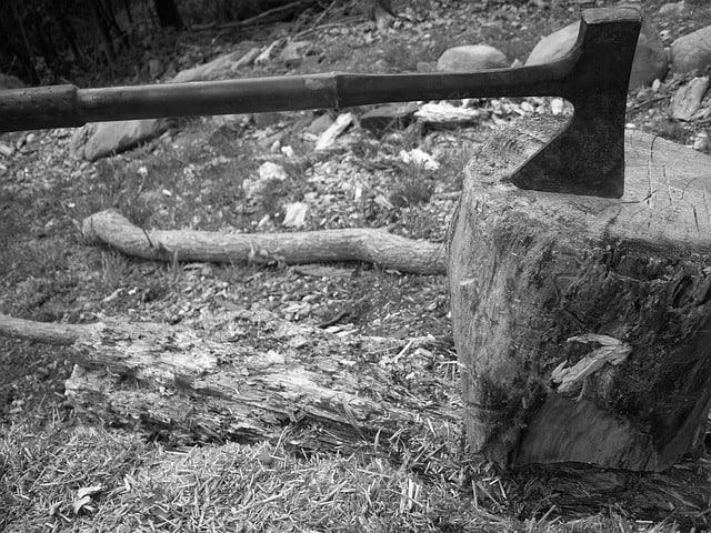How Deforestation Affects Climate Change, Humans and Animals? - Conserve Energy Future How Deforestation Affects Climate Change, Humans and Animals? - Conserve Energy Future