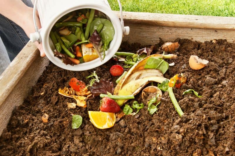 Make Composting Your Friend