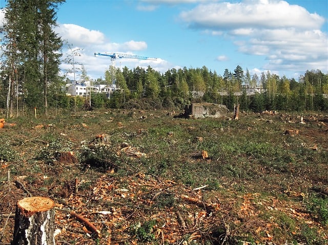 How Deforestation Affects Climate Change, Humans and Animals? - Conserve Energy Future How Deforestation Affects Climate Change, Humans and Animals? - Conserve Energy Future