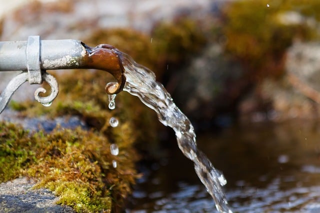 fountain-stone-trough-moss-bemoost