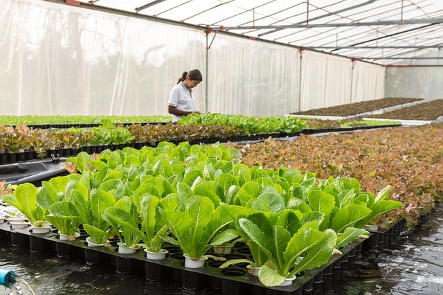 conservatory-agriculture-aquaculture-organic-agriculture
