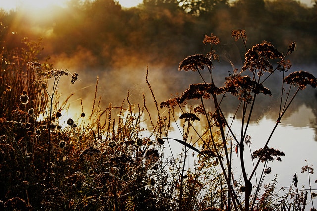 weather-warm-with-high-temperatures