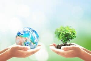 Environmental Protection Is Essential