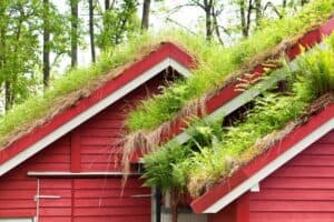 Ways And Benefits of “Going Green“ With Your Roof