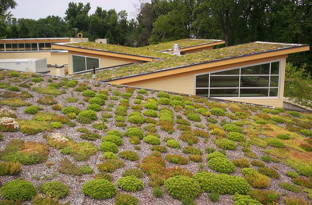 green-roof-cover