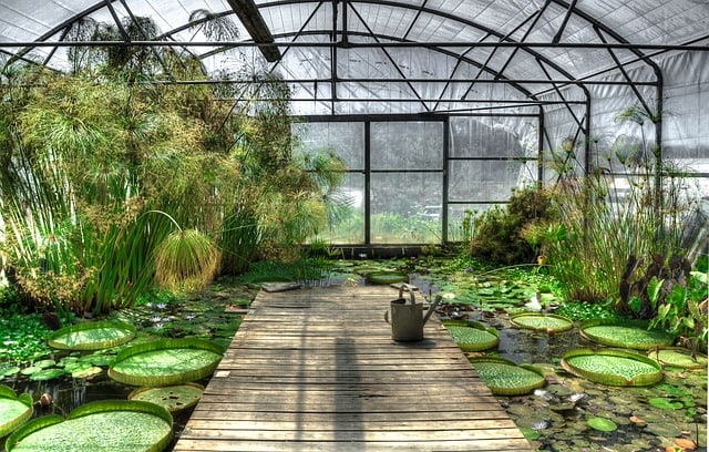 lotus-greenhouse-waterlily-garden