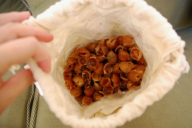 bag-of-soap-nuts