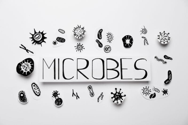 Contamination Via Microbes