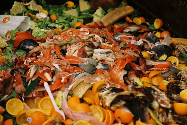 food-waste-america