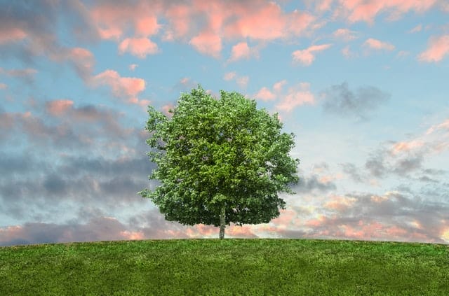 nature-sky-clouds-field-eco-friendly