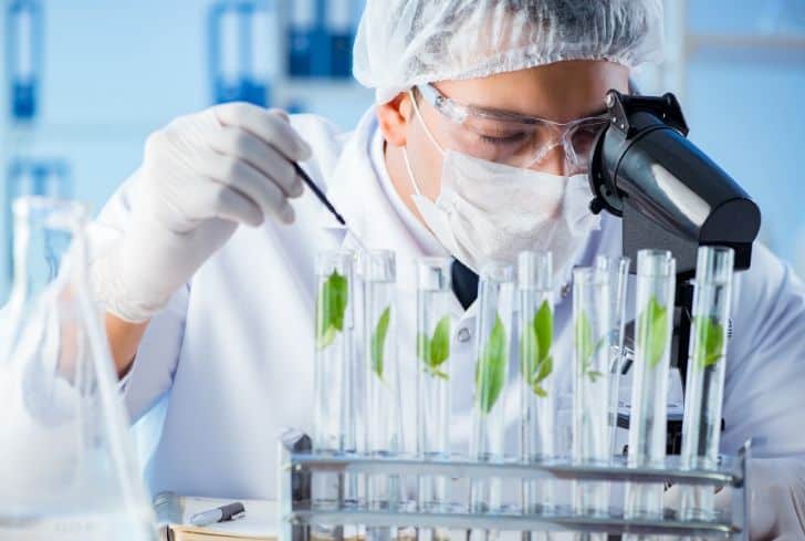 What is Biotechnology: Types, Examples, Branches and Applications -  Conserve Energy Future