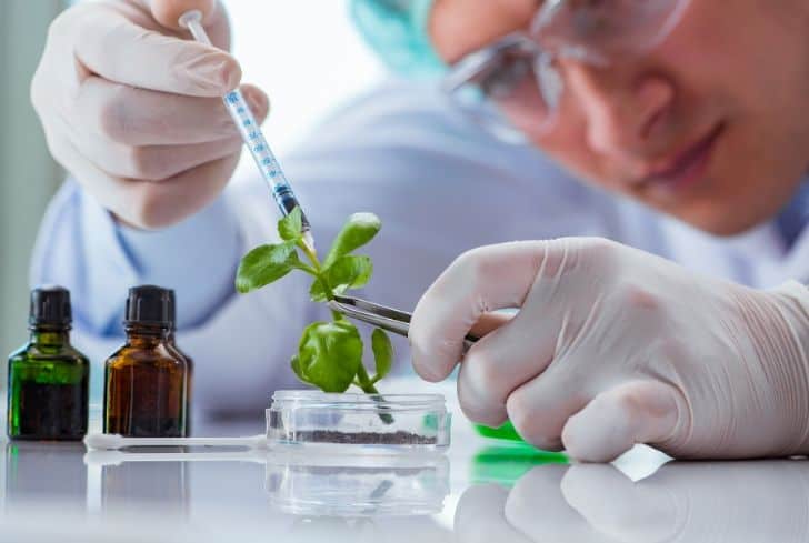 What is Biotechnology: Types, Examples, Branches and Applications -  Conserve Energy Future