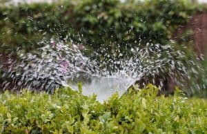 water-sprinkler-garden